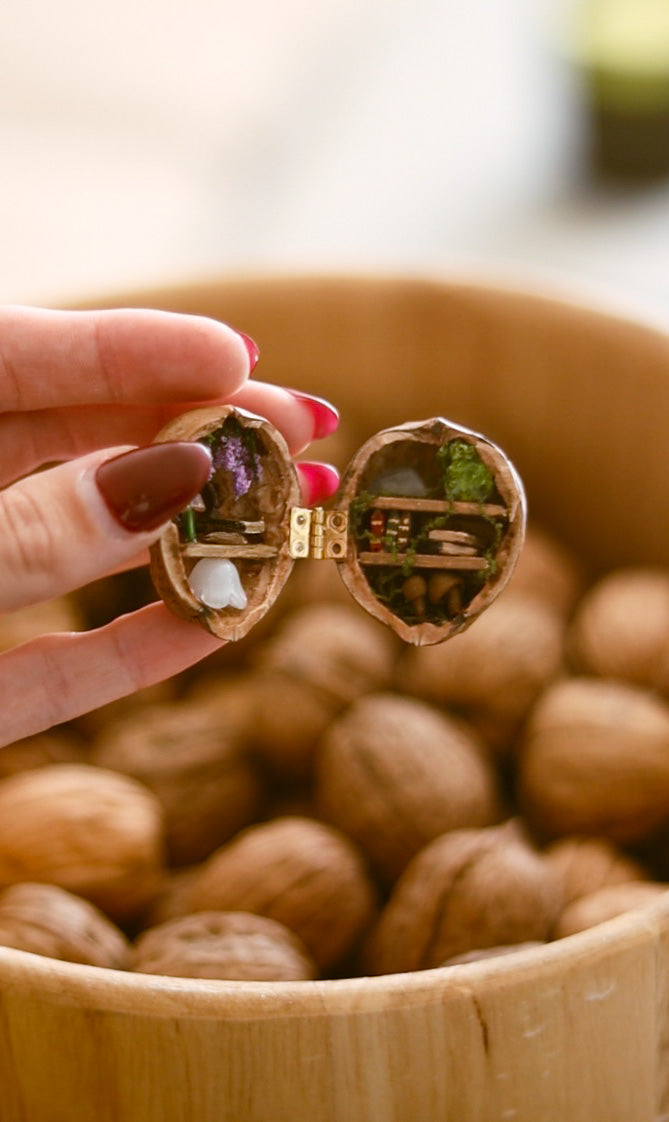 Walnut World DIY Kits