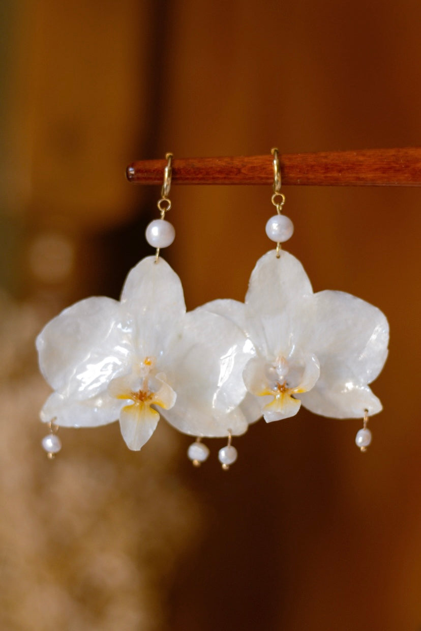 Orchids