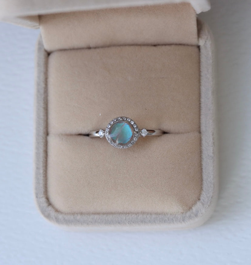 Sterling Silver 1935 Morpho Butterfly Wing Fragment Ring P