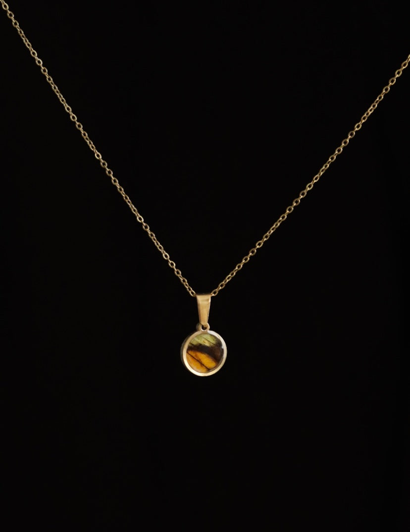 Yellow Orange Tip Butterfly Necklace