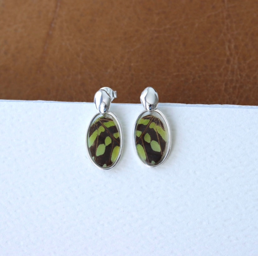 ‘Tailed Jay Butterfly’ Sterling Silver Earrings