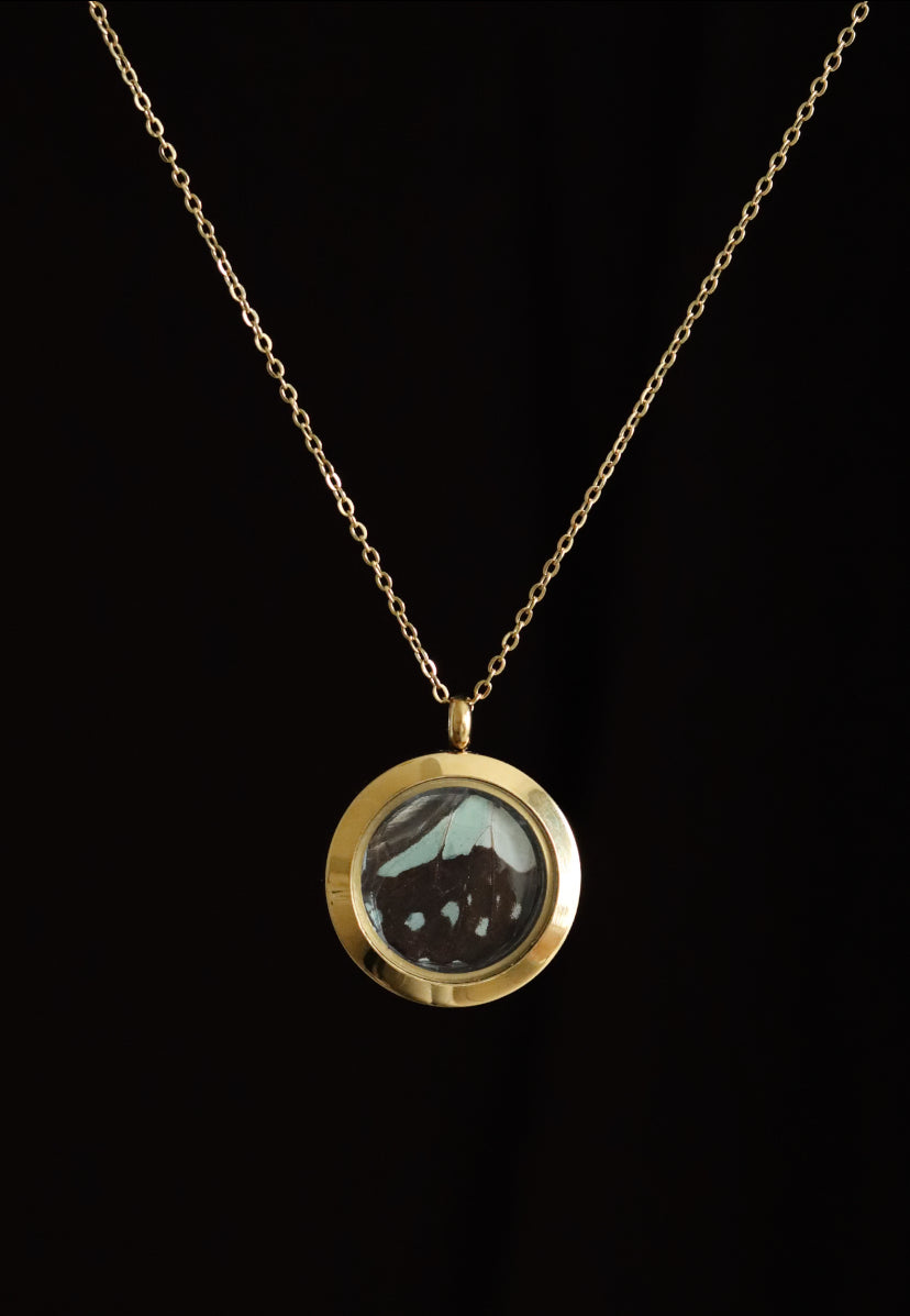Reversible Glass Common Jay Butterfly Necklace