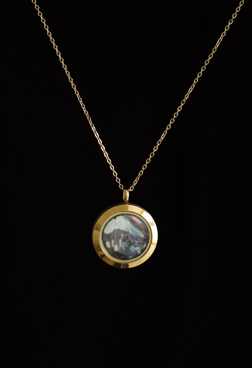 Reversible Glass Common Jay Butterfly Necklace