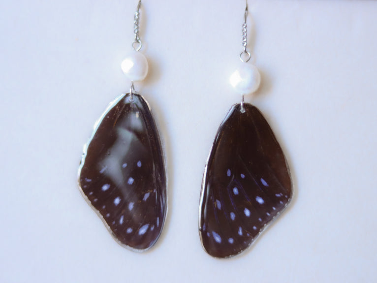 ‘Striped Blue Crow’ Freshwater Pearl Butterfly Earrings