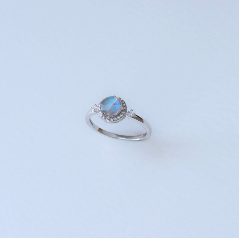 Sterling Silver 1935 Morpho Butterfly Wing Fragment Ring P