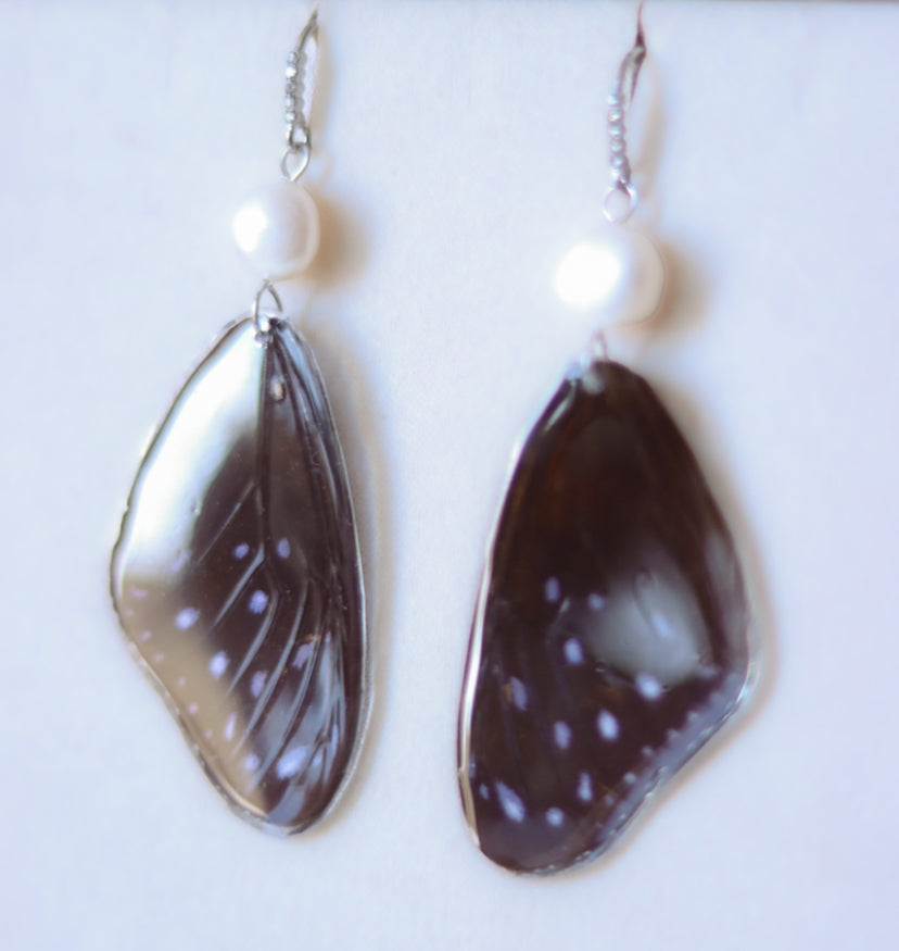 ‘Striped Blue Crow’ Freshwater Pearl Butterfly Earrings