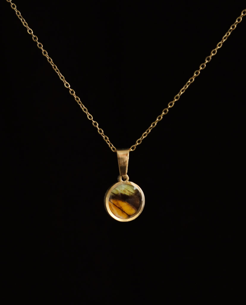 Yellow Orange Tip Butterfly Necklace