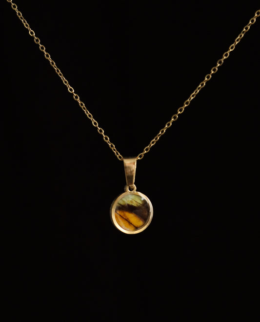 Yellow Orange Tip Butterfly Necklace