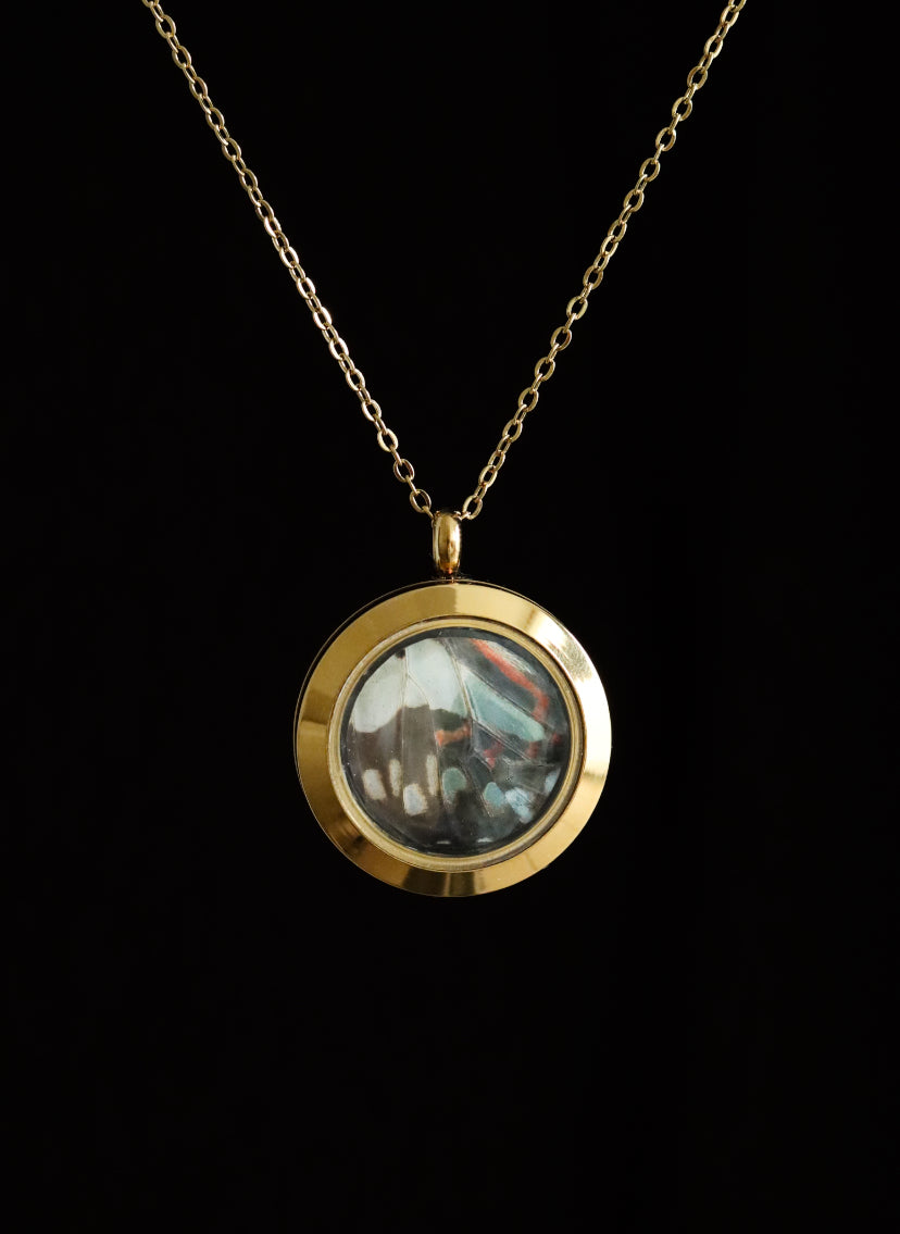 Reversible Glass Common Jay Butterfly Necklace