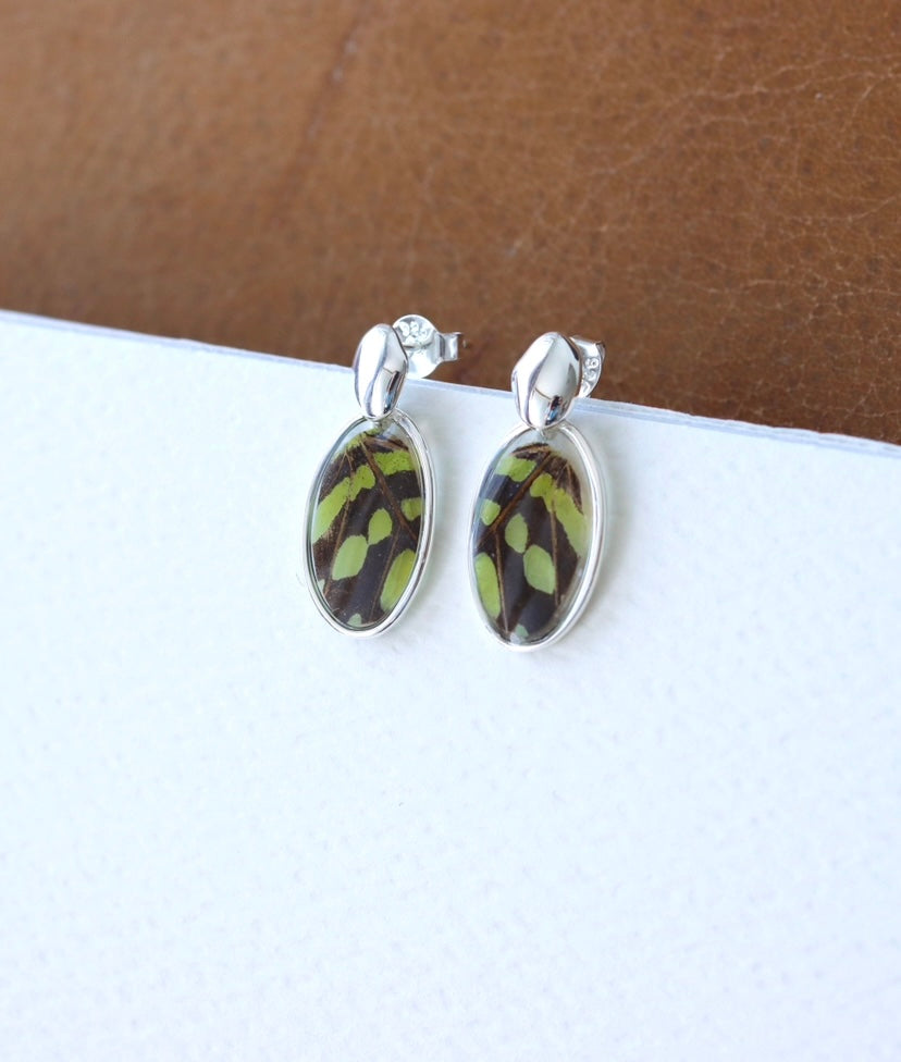 ‘Tailed Jay Butterfly’ Sterling Silver Earrings
