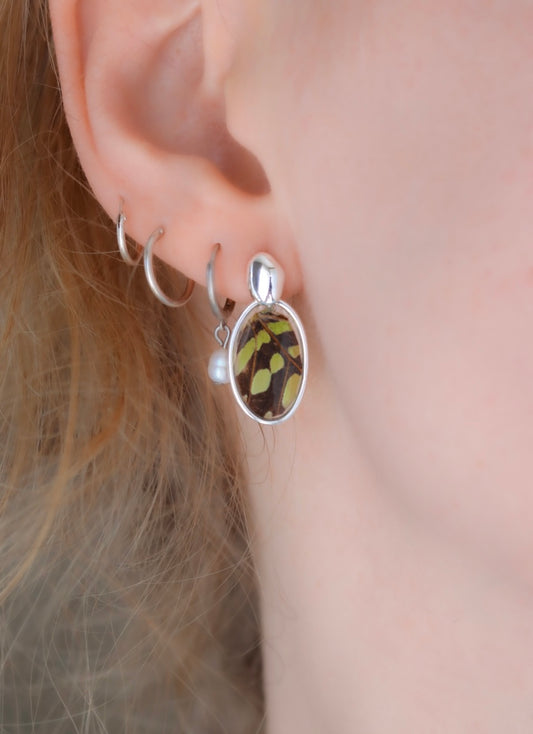 ‘Tailed Jay Butterfly’ Sterling Silver Earrings